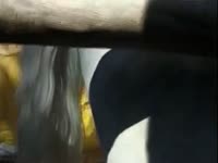 Ebony zoophile sucks a stallion just to get some jizz